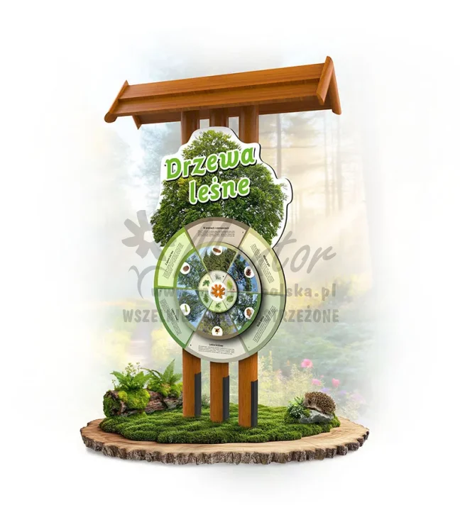 09 KWDL-KP - Drzewa leśne_dab_webp.webp