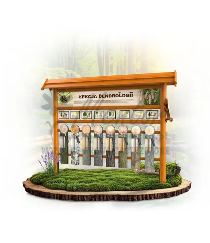 ODK02 - Odkrywca - Dendrolog - dąb_mini_webp.webp