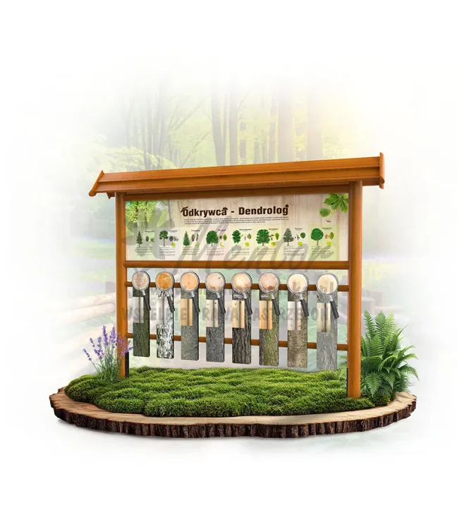 ODK01 - Odkrywca - Dendrolog - dąb_mini_webp.webp