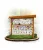 ODK05 - Odkrywca - Apteka Natura - dąb_mini_webp.webp