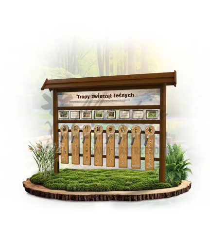 ODK04 - Odkrywca - Tropiciel  - BRAZ_mini_webp.webp