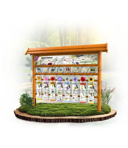 ODK09 - Apteka Natura - dąb_mini_webp.webp