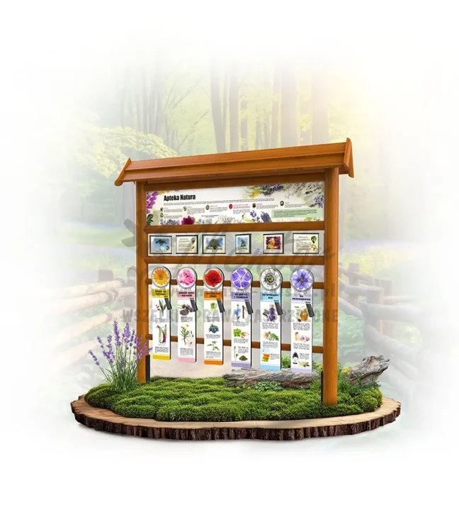 Odkrywca 6 tab - Apteka natura - dąb_mini_webp.webp