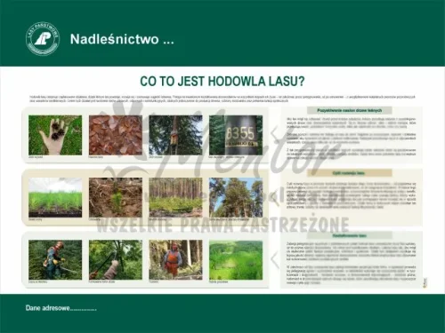1. Co to jest hodowla lasu.webp