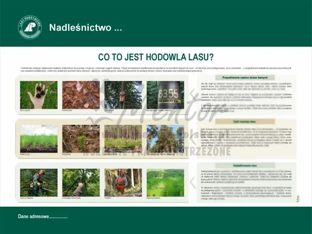 1. Co to jest hodowla lasu.webp