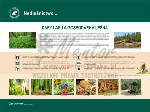 4. Dary lasu a gospodarka leśna.webp