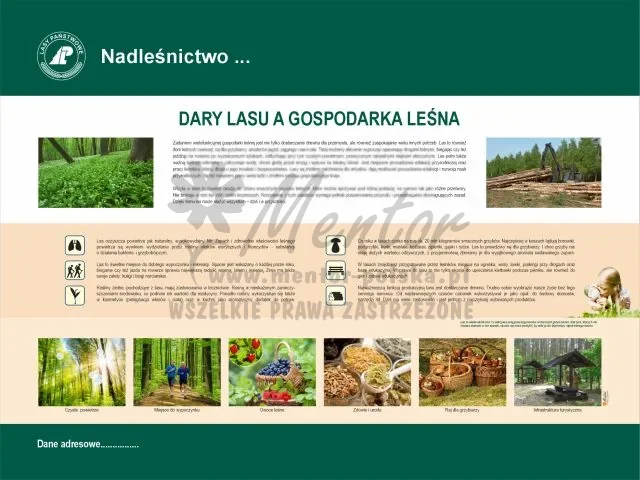 4. Dary lasu a gospodarka leśna.webp