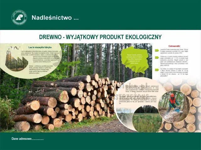 5. Drewno - wyjątkowy produkt ekologiczny.webp