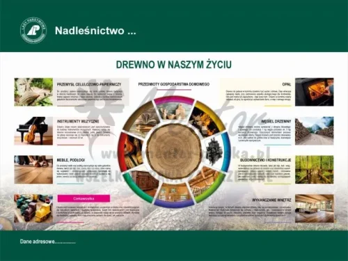 6. Drewno w naszym życiu.webp