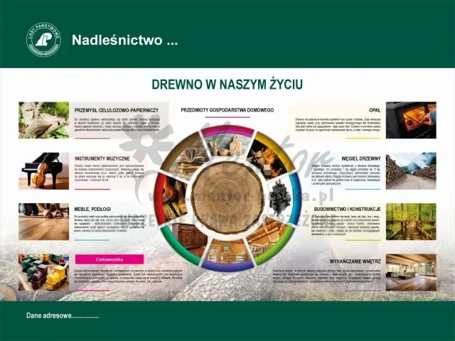 6. Drewno w naszym życiu.webp