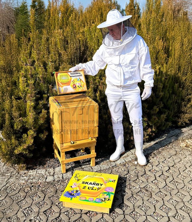 Interaktywny ul dźwiękowy - prezentacja 2