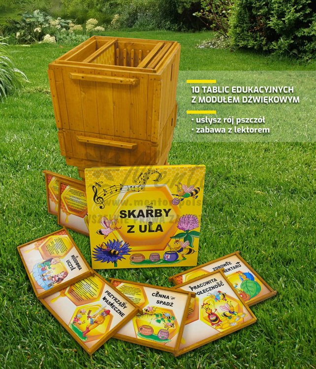 Interaktywny ul dźwiękowy - opis funkcji