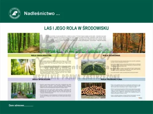 8. Las i jego rola w środowisku.webp