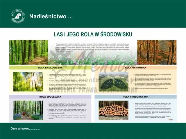 8. Las i jego rola w środowisku.webp