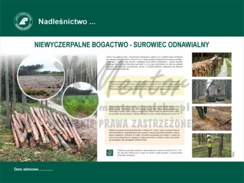 9. Niewyczerpalne bogactwo - surowiec odnawialny.webp