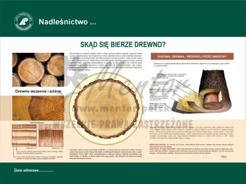 10. Skąd się bierze drewno.webp