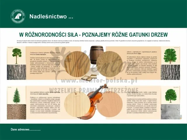 11. W różnorodności siła - poznajemy gatunki drzew.webp