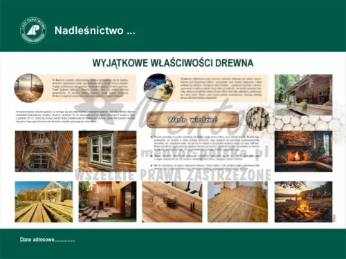 13. Wyjątkowe właściwości drewna.webp