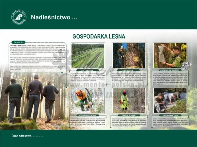 15. Gospodarka leśna.webp
