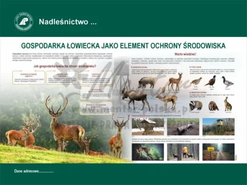 16. Gospodarka łowiecka.webp