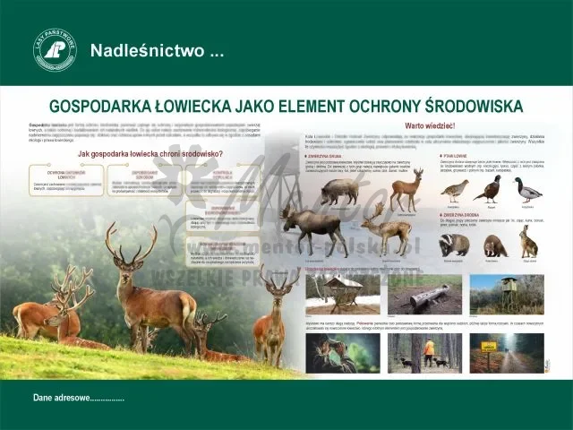 16. Gospodarka łowiecka.webp