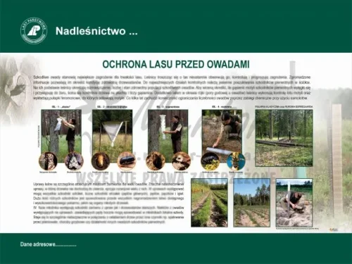 18. OCHRONA LASU PRZED OWADAMI.webp