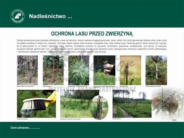 19. OCHRONA LASU PRZED ZWIERZYNĄ.webp