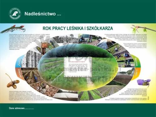 23. ROK PRACY LEŚNIKA I SZKÓŁKARZA.webp