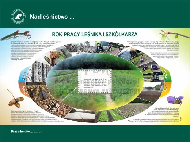 23. ROK PRACY LEŚNIKA I SZKÓŁKARZA.webp