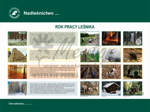 24. ROK PRACY LEŚNIKA.webp