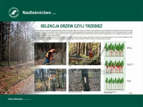 25. TRZEBIEŻ.webp