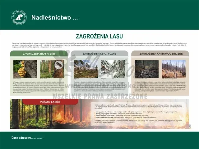 26. Zagrożenia lasu.webp