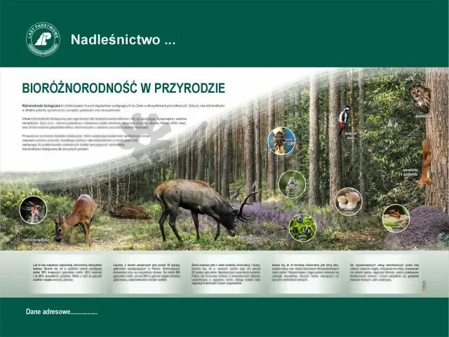 27. Bioróżnorodność w przyrodzie.webp