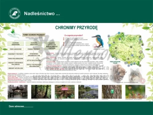31. Chronimy przyrodę.webp