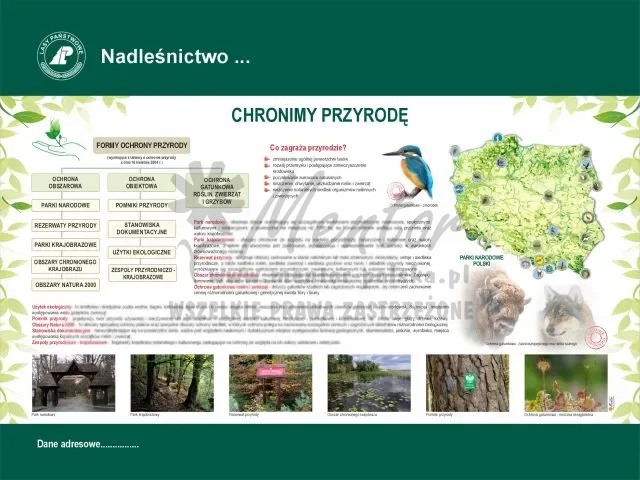 31. Chronimy przyrodę.webp