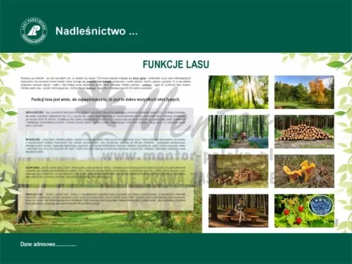 33. Funkcje lasu.webp