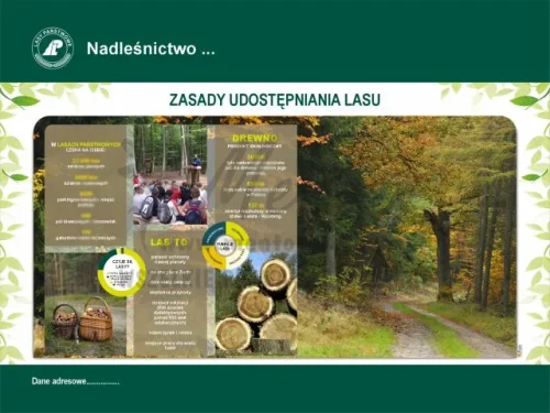 35. ZASADY UDOSTĘPNIANIA LASU.webp