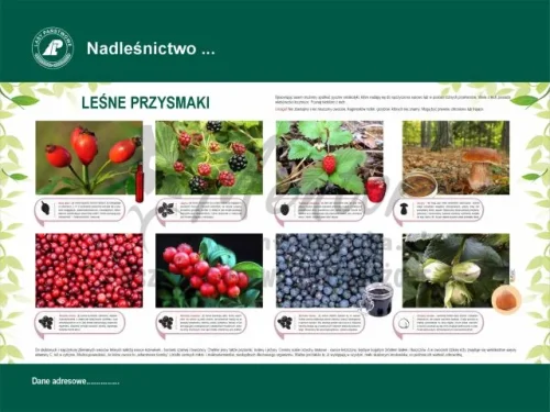 40. LEŚNE PRZYSMAKI.webp