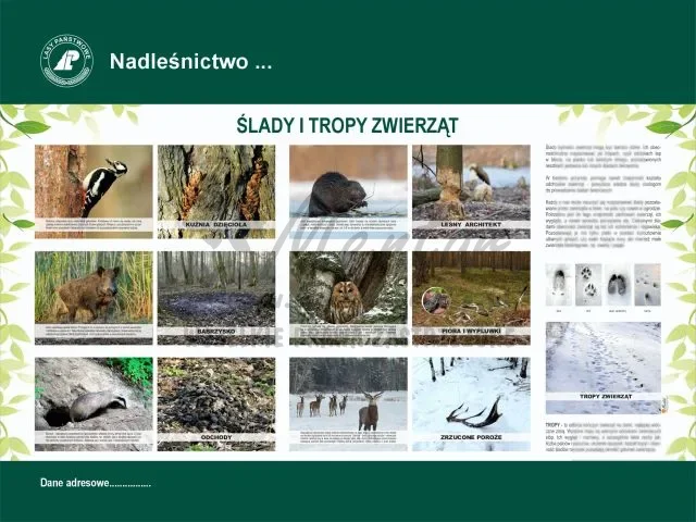 43. ŚLADY I TROPY ZWIERZĄT.webp