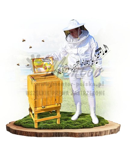 Interaktywny ul dźwiękowy  - prezentacja produktu