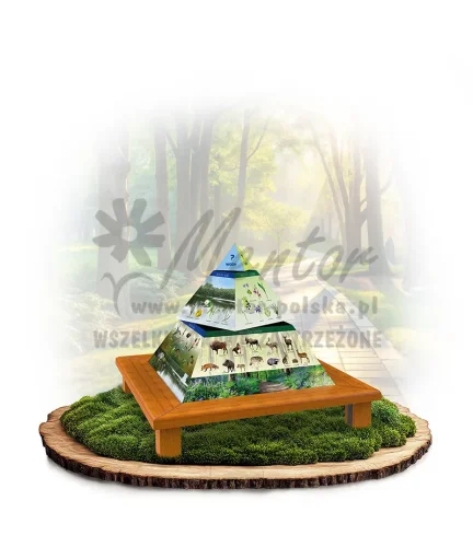 Piramida_dąb_mini_webp.webp