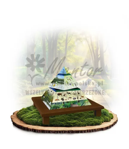 Piramida_brąz_mini_webp.webp