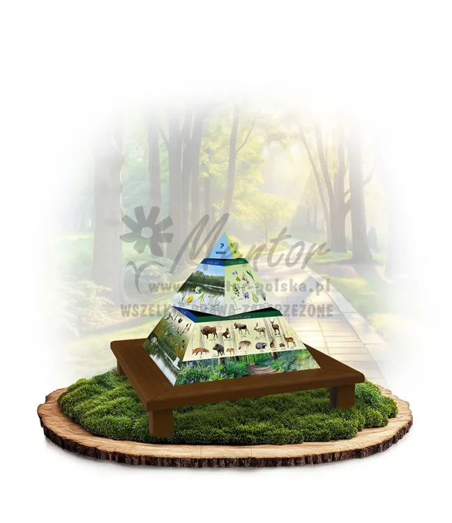 Piramida_brąz_mini_webp.webp