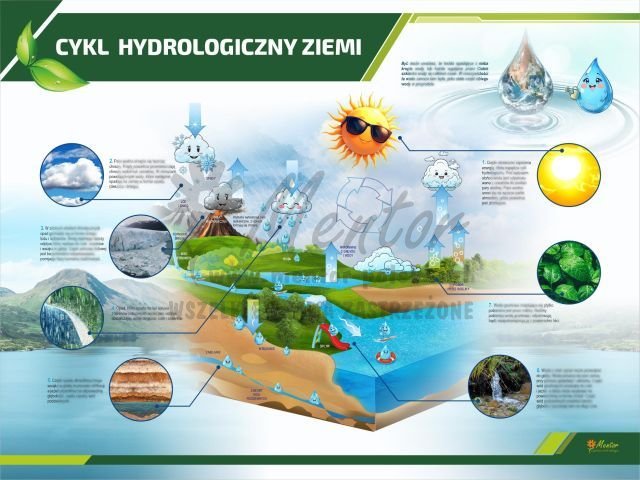 TE3-44 - Cykl hydrologiczny Ziemi do sklepu.jpg