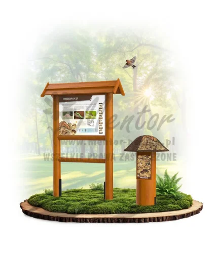 Ciekawi budowniczowie_mrowisko_dąb_mini_webp.webp