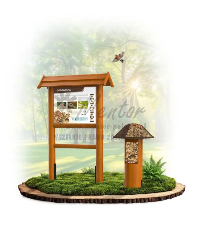 Ciekawi budowniczowie_mrowisko_dąb_mini_webp.webp