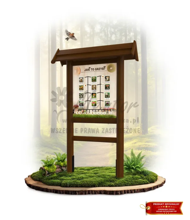 LN09 - Jaki to grzyb_brąz_mini_webp.webp