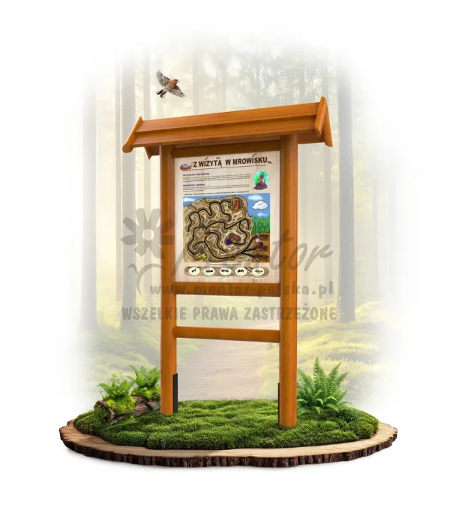 LN12 - Z wizytą w mrowisku_dąb_mini_webp.webp