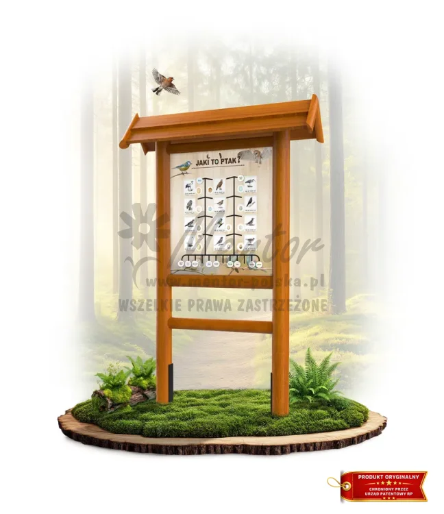 LN28 - Jaki to ptak I_dąb_mini_webp.webp