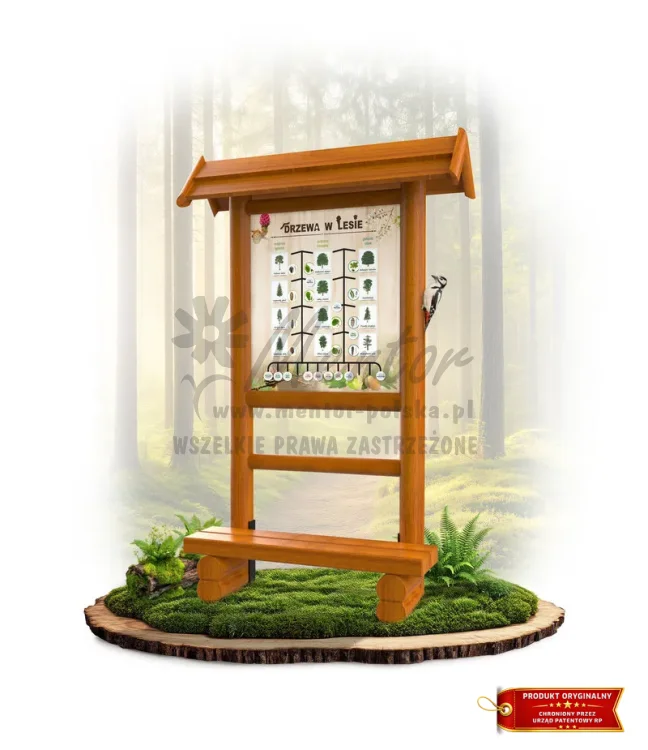 LN29 - Drzewa w lesie_dąb_mini_webp.webp